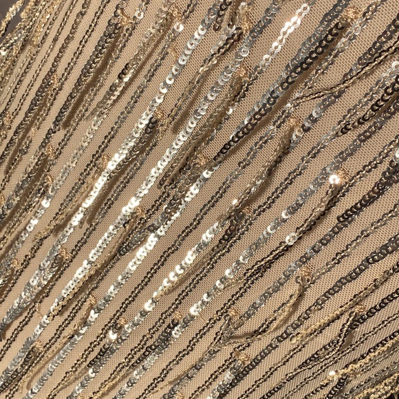 ALTAR’D STATE - dress: silver mesh w allover sequin fringe, lined w zipper - XL - Picture 12 of 16